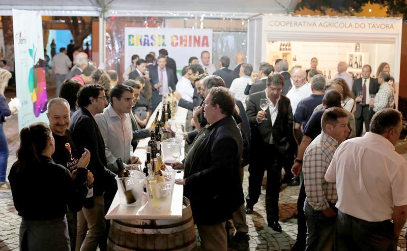 Prova de vinhos  foto  1 1024 800