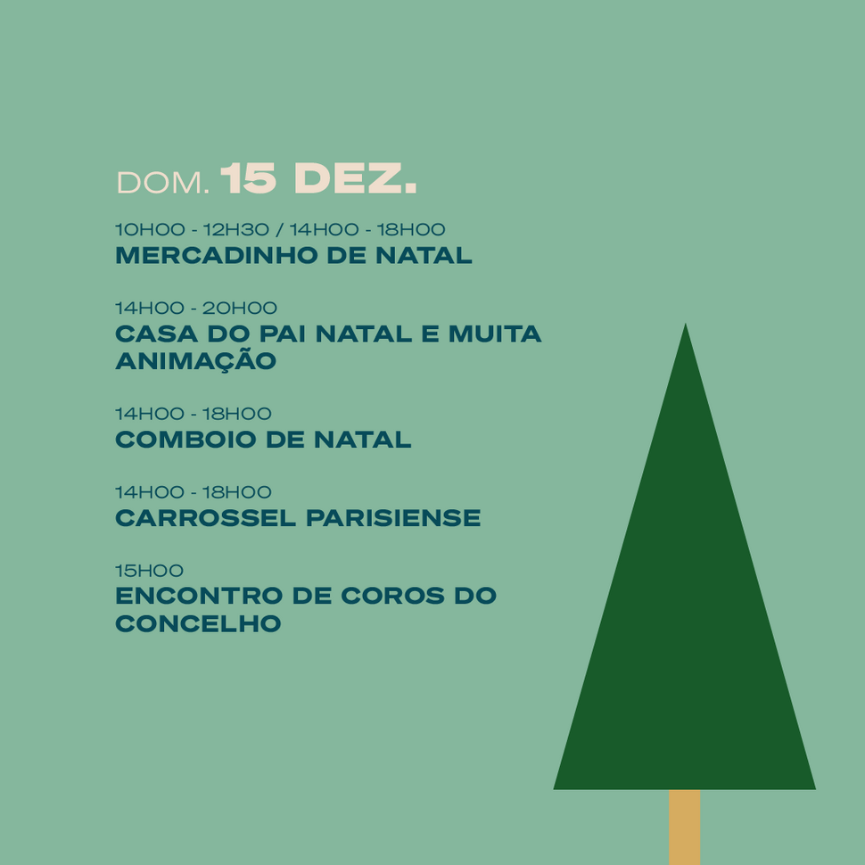 feed-programa&ccedil;&atilde;o-07