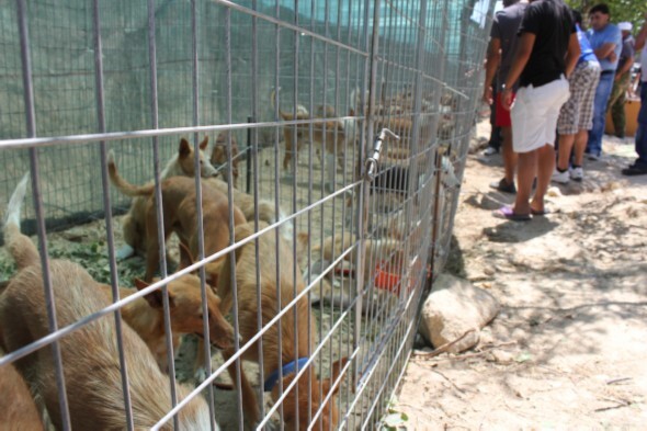 Feira de Caça da Nave 3