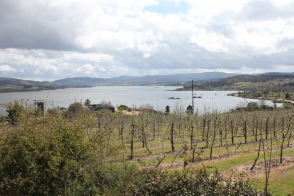 Rio Távora transborda 004 modified